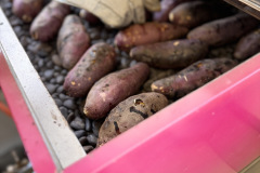 EF66E07B-814F-46A5-A016-97A8822EF3A4